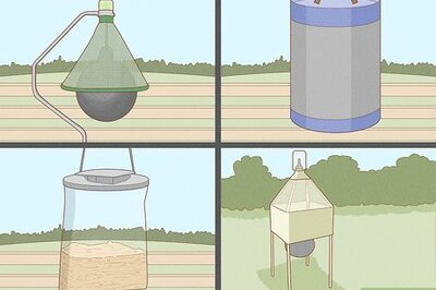 How to Get Rid of Horse Flies