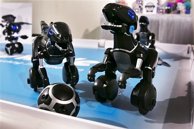 Would you play fetch with this cute robot T-Rex?