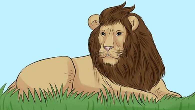How to Book a Great Safari on a Budget