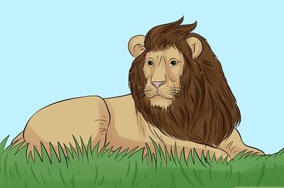 How to Book a Great Safari on a Budget