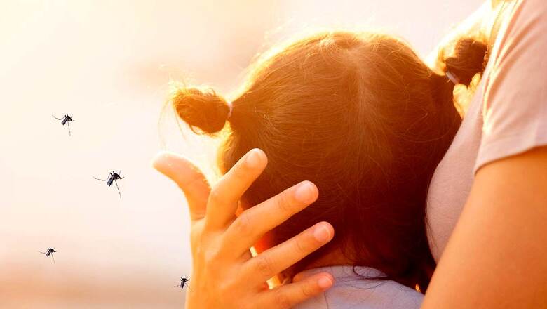 World Mosquito Day 2021: All You Need to Know About 5 Mosquito-borne Diseases