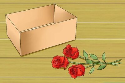 How to Mourn a Hamster's Death