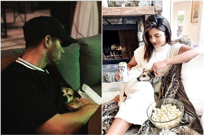 Happy Birthday to Our Oldest: Priyanka Chopra and Nick Jonas Celebrate Special Day of Pet Dog Diana