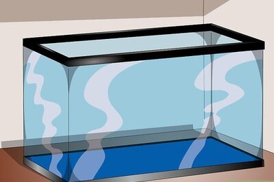 How to Keep Garden Slugs as Pets