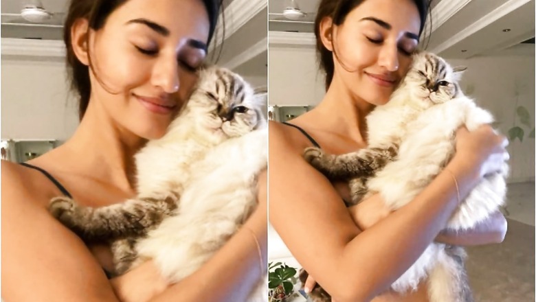 Disha Patani Flaunts Her Hot Bod as She Cuddles up to Her Pets, See Pics