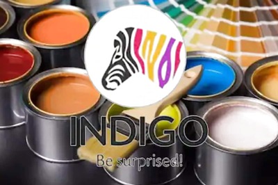 Indigo Paints IPO Allotment Status Today: Know the Steps to Check