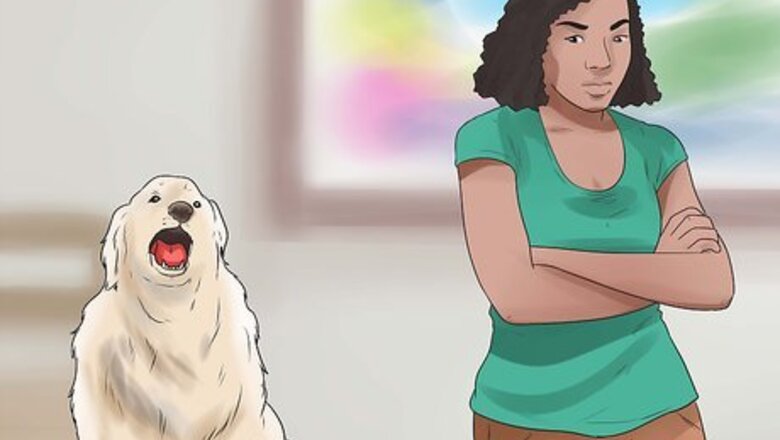 How to Stop Howling Dogs