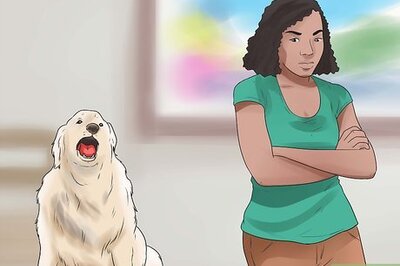 How to Stop Howling Dogs
