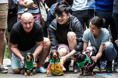 Hong Kong 'Doggie Dash' Raises Funds For Abandoned Pooches