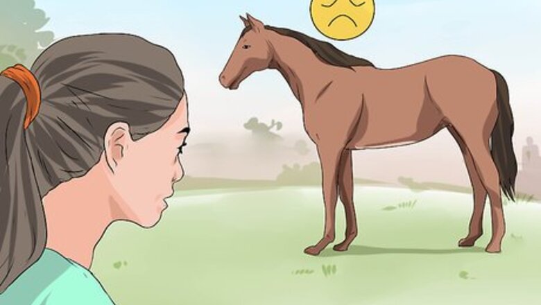How to Recognize and Treat Colic in Horses