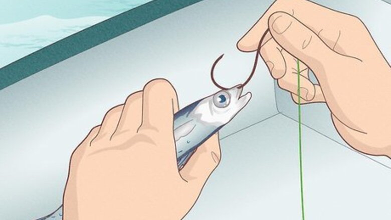 How to Catch Bluefin Tuna