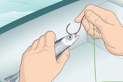 How to Catch Bluefin Tuna