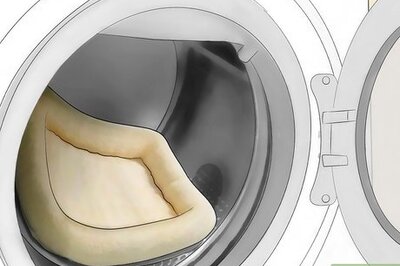 How to Get Rid of Ear Mites