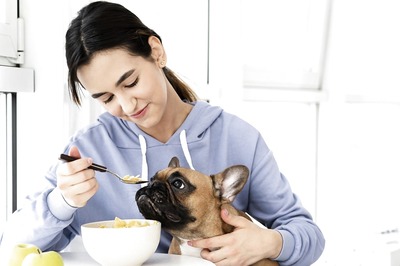Debunking Common Misconceptions About Packaged Pet Food