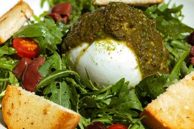 Dive into Delight: 7 Food Festivals That Define Gastronomic Bliss