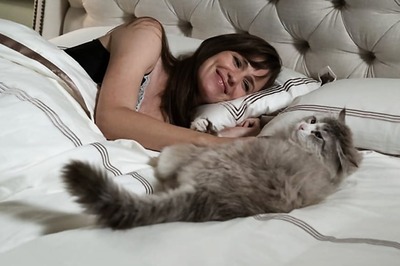 Nine Lives Review: A Half-Hearted Attempt At Comedy That'll Make You Groan