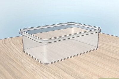 How to Find and Care For an Antlion