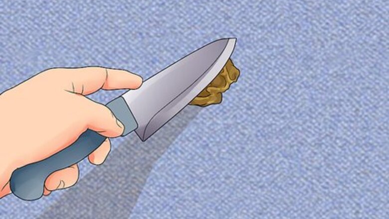 How to Remove Pet Stains
