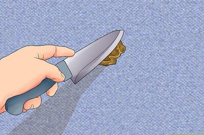 How to Remove Pet Stains