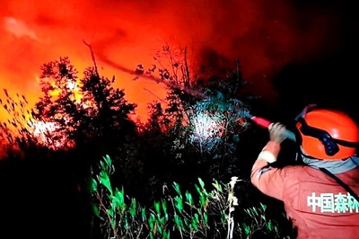 19 People, Most of Them Firefighters, Killed in China Forest Fire