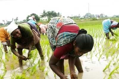 Rs 1,000 Monthly Allowance: Tamil Nadu Govt Releases Guidelines for Flagship Scheme for Poor Women