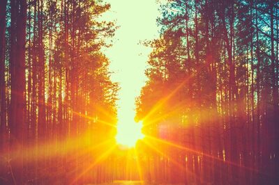 Aaj Ka Panchang, January 18, 2024: Tithi, Vrat, and Today’s Shubh, Ashubh Muhurat