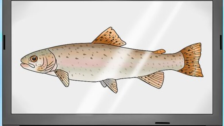 How to Fish for Steelhead