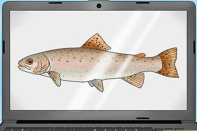 How to Fish for Steelhead