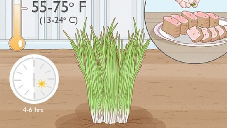 How to Grow an Herb Garden Indoors Year Round