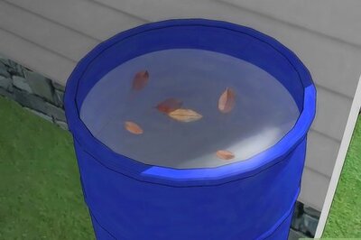 How to Set up a Five Gallon Fish Tank