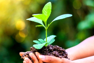 World Environment Day 2022: History, Theme and Significance