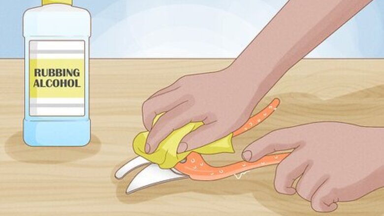 The Ultimate Guide to Plant Pruning