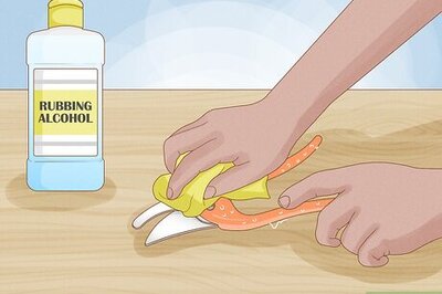 The Ultimate Guide to Plant Pruning