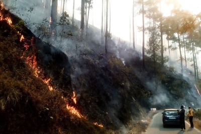 Over 130 NDRF Men Deployed to Combat Uttarakhand Forest Fire