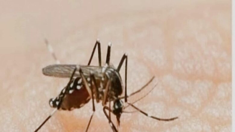 Delhi Records 32 Dengue Cases in June, Total Tally 143