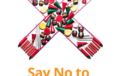 Diwali 2021: Let’s Pledge to Save Environment and Celebrate Festival of Lights the Eco-friendly Way