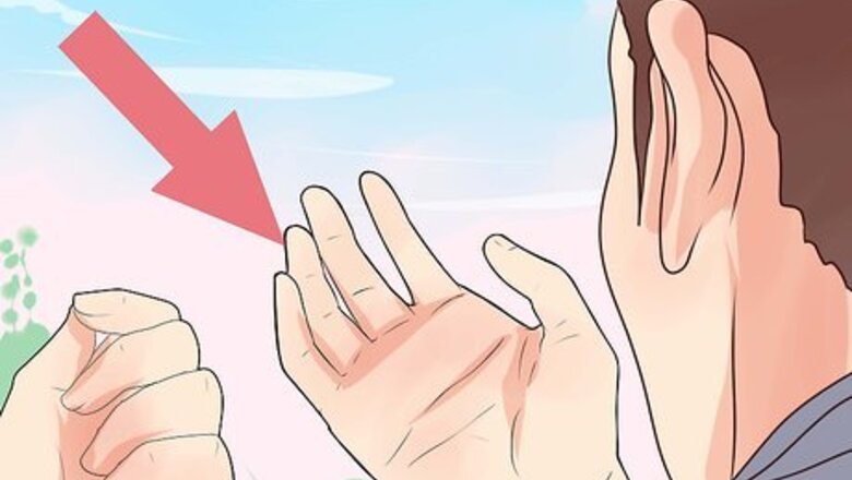 How to Hold a Pigeon