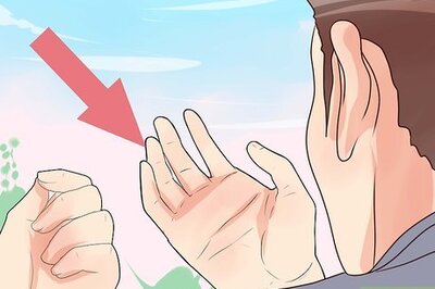 How to Hold a Pigeon