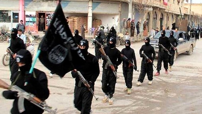 Pentagon expands cyber war against Islamic State computer networks