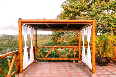 October Wedding? Make It A Sustainable And Eco-Friendly One