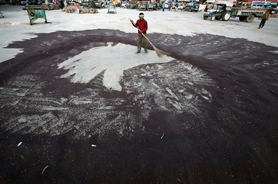 Ban on Blending to Boost Mustard Seeds Production, Cut Edible Oil Imports, Say Industry Players