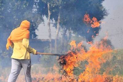 To Check Air Pollution, Bihar to 'Name and Shame' Farmers Who Burn Crop Residue