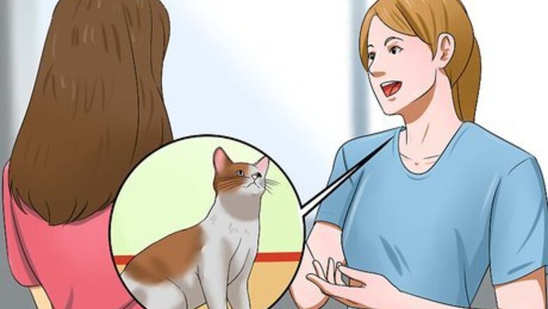 How to Traffic Train Your Cat