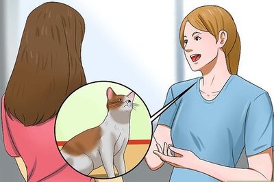 How to Traffic Train Your Cat