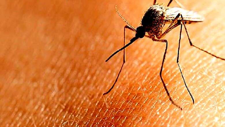 Around 3000 Cases of Dengue Fever Reported in Tamil Nadu So Far, Claims Health Secretary
