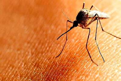With 920 Cases of Malaria Till September this Year, Will Punjab be Able to Eradicate Diseases by 2020