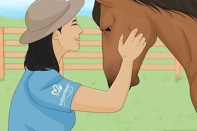 How to Work With Animals at a Zoo