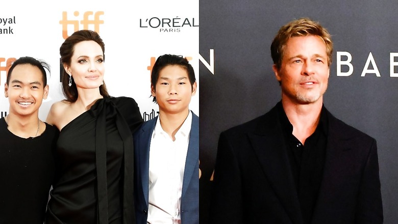 Angelina Jolie Alleges Brad Pitt Started 'Physically Abusing' Her Much Before 2016 Plane Incident