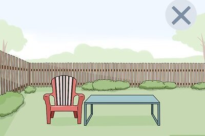 How to Treat Your Yard for Fleas