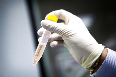 Cancer claims 3.5 lakh lives every year in India: ISCR